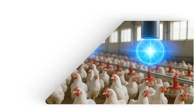 coldplasmatechnologies.com